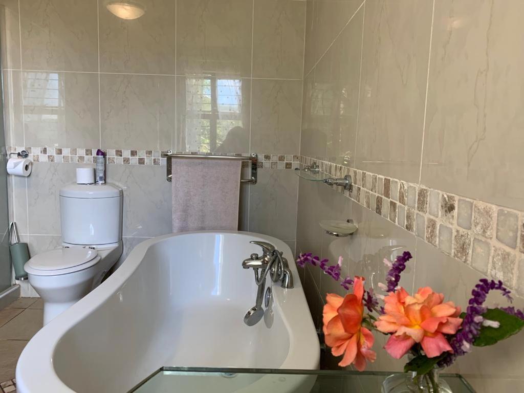 Mountain Rose Guesthouse Louis Trichardt Extérieur photo